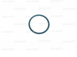Уплотнительное кольцо к фильтру редуктора BRC